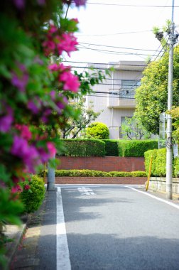 Bir bina ve çiçekli bir ağaç olan bir sokak.