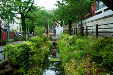 Şehrin güzel manzarası