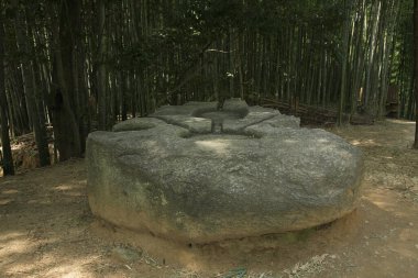 Yeşil ormanda büyük bir taş.