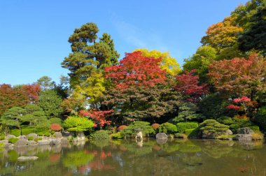 Huzurlu Japon bahçe gölüne yansıyan renkli sonbahar ağaçları.