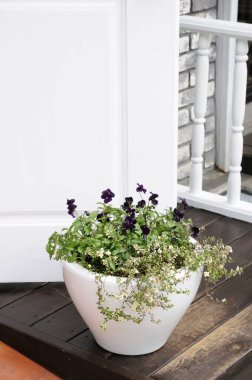 Kapıda açan mor çiçekleri tutan beyaz seramik kap.