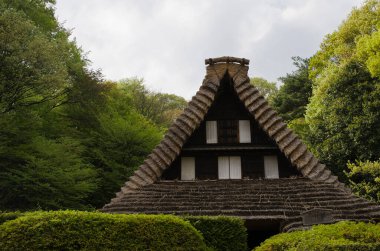 Japon geleneksel sazdan çatılı ahşap evi