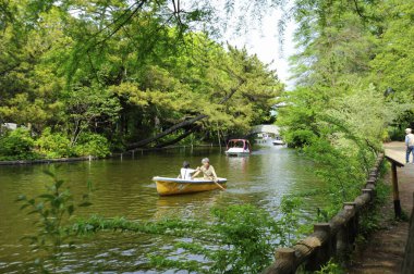 Parkta turistik tekneleri olan güzel bir gölet. 