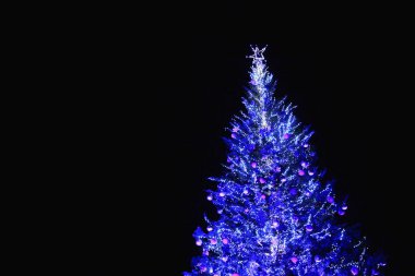 Mavi ışıkları ve yıldızları olan Noel ağacı