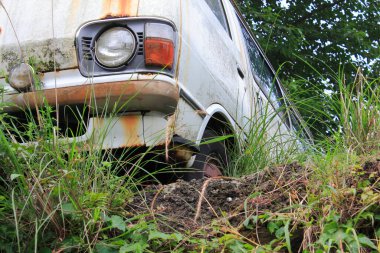 Ormandaki eski paslı araba.