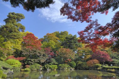Parktaki sonbahar bahçesi. Japonca