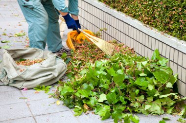 Kaldırımdan yaprakları temizleyen kişi