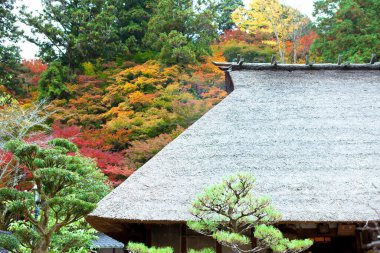 Köydeki geleneksel eski Japon evi.