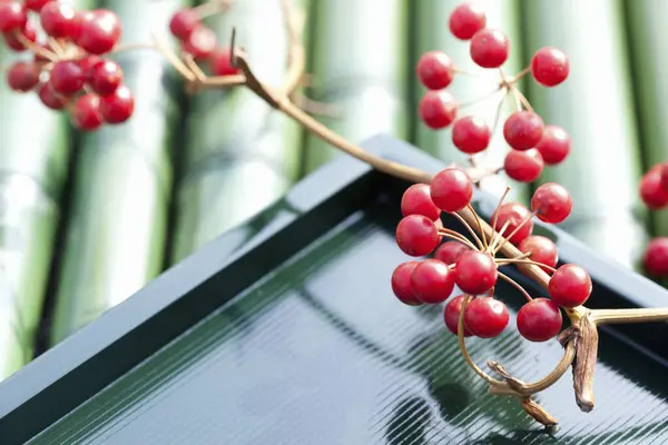 Cranberries Green Bamboo Background — Stock Photo, Image
