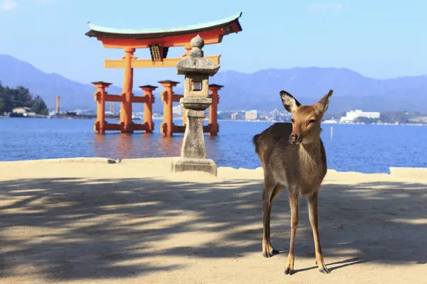 Itsukushima Shrine Een Heiligdom Gelegen Het Eiland Itsukushima Hatsukaichi City — Stockfoto