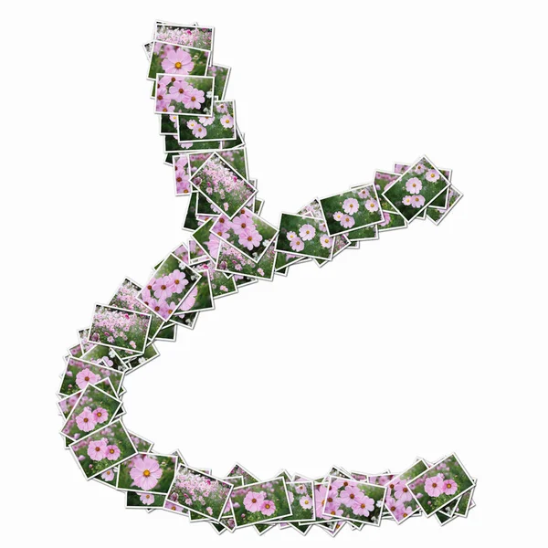 ピンクの花のトランプで作られた日本のヒエログリフ — ストック写真