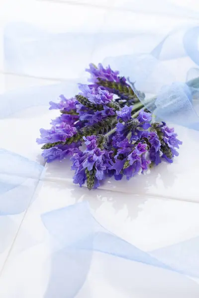 Blaue Blumen Auf Weißem Hintergrund — Stockfoto