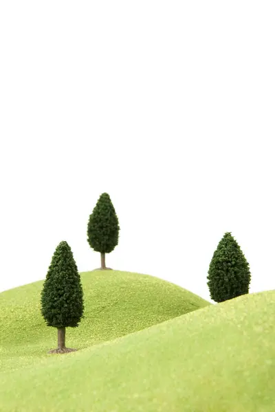 Beyaz Arkaplanda Yeşil Çimenler Ağaçlar — Stok fotoğraf