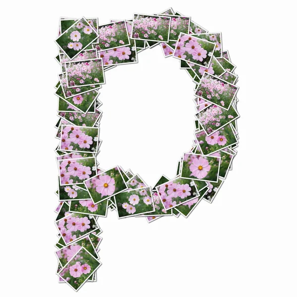 Symbol Hracích Karet Růžovými Květy — Stock fotografie