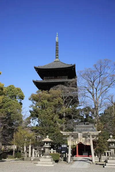 Güzel Antik Japon Tapınağının Manzaralı Görüntüsü — Stok fotoğraf