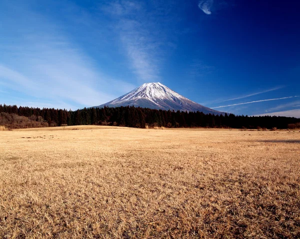 Beautiful Mountain Fuji Japan Nature Background — Stock Photo, Image
