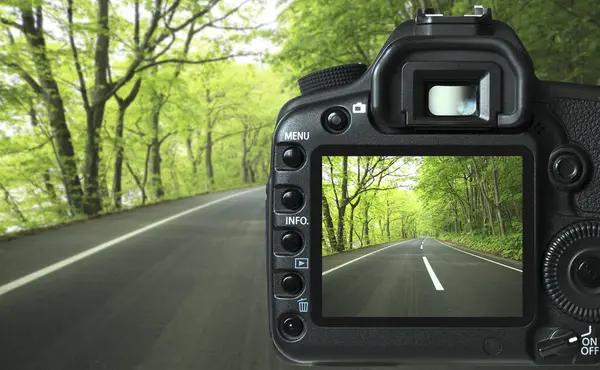Camera Forest Road — Stock Photo, Image