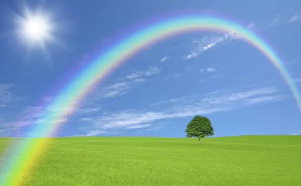Colorful Rainbow Green Grass Field — Stock Photo, Image