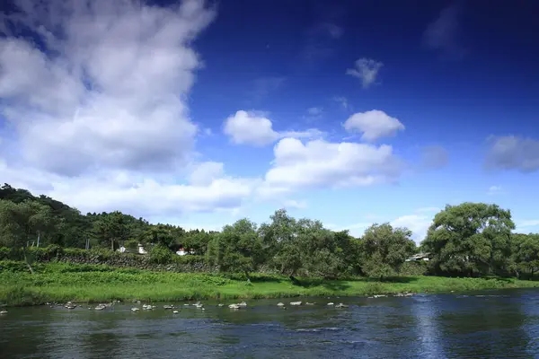 川の美しい景色 — ストック写真