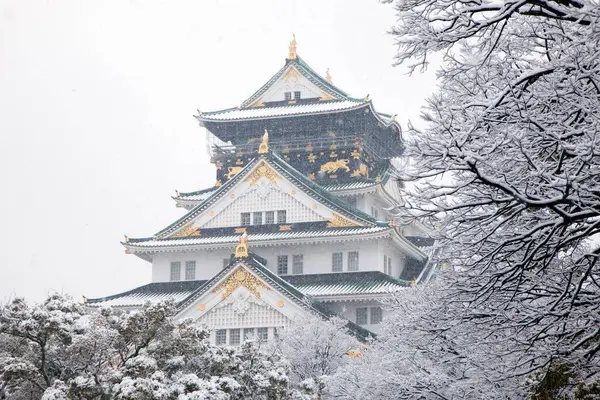 Osaka Castle Snow Japan — Stock Photo, Image