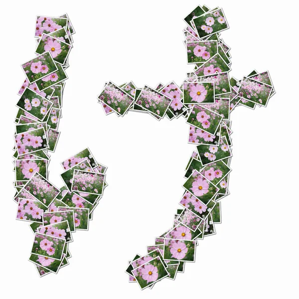 Japonský Hieroglyf Hracích Karet Růžovými Květy — Stock fotografie