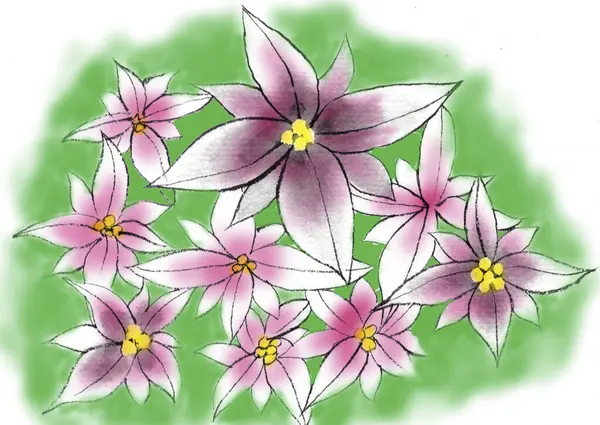 Акварельна Ілюстрація Рожевої Квітки Білому Тлі Акварельний Живопис Ілюстрація — стокове фото