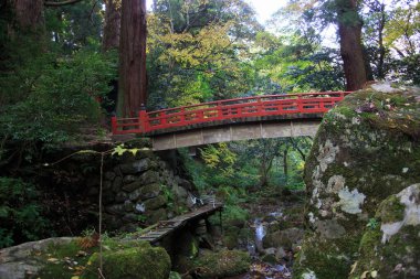 Kırmızı köprüsü olan güzel orman manzarası 