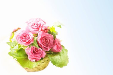 Güzel çiçekler, yakın görüş, doğa konsepti.