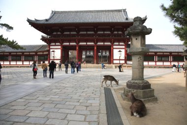 Güzel antik Japon tapınağının manzaralı görüntüsü.