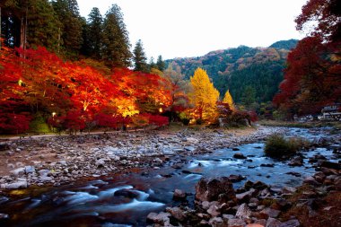 Koarashi Valley in autumn clipart