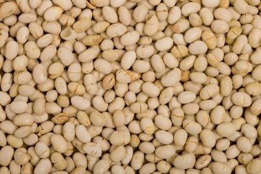 kahve çekirdekleri arkaplan dokusu