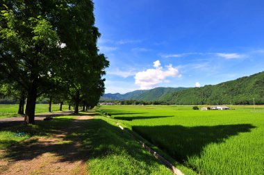 Güneşli bir günde dağların, yeşil ağaçların, tarlaların ve kırsal yolların olduğu güzel bir manzara.     