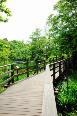 Parktaki tahta köprü.