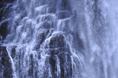 Ormandaki şelalenin manzarası