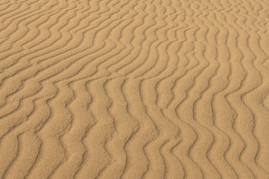 Kum dokusuna yakından bak. Kum tepeciği. Soyut kum dokusu