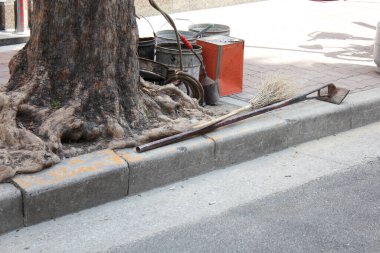 Süpürge ve metal çubuk büyük ağaç köklerinin yanında duruyor.