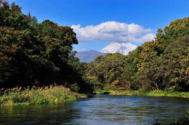 Yeşil ormanlarda ve manzaralı dağlarda gölü olan güzel bir manzara.    