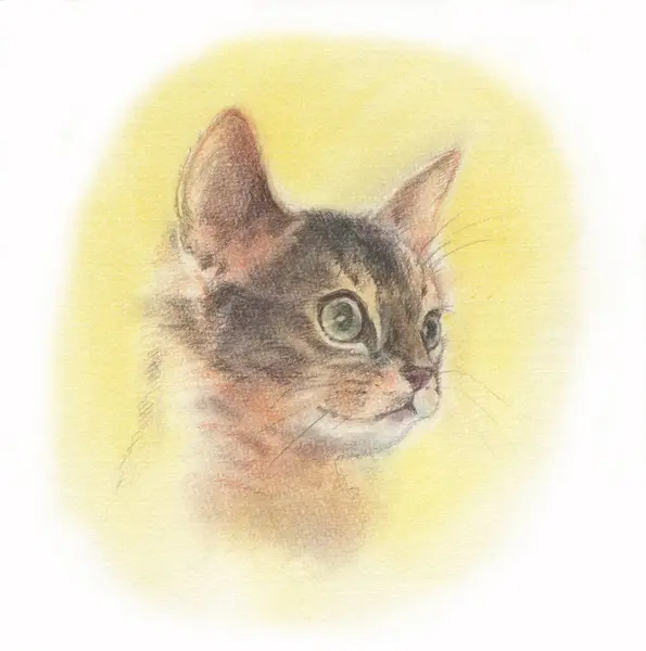 Bir Kedinin Portresi Suluboya Resimleme — Stok fotoğraf