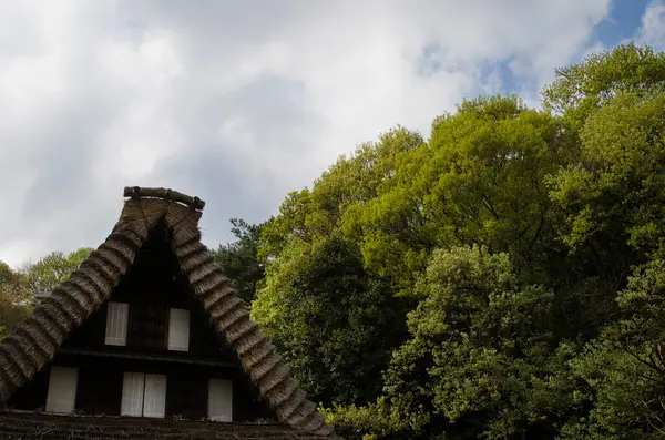 Japans Traditioneel Huis Met Rieten Dak — Stockfoto