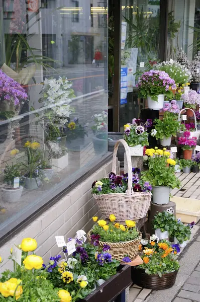 Krásné Květiny Trhu — Stock fotografie