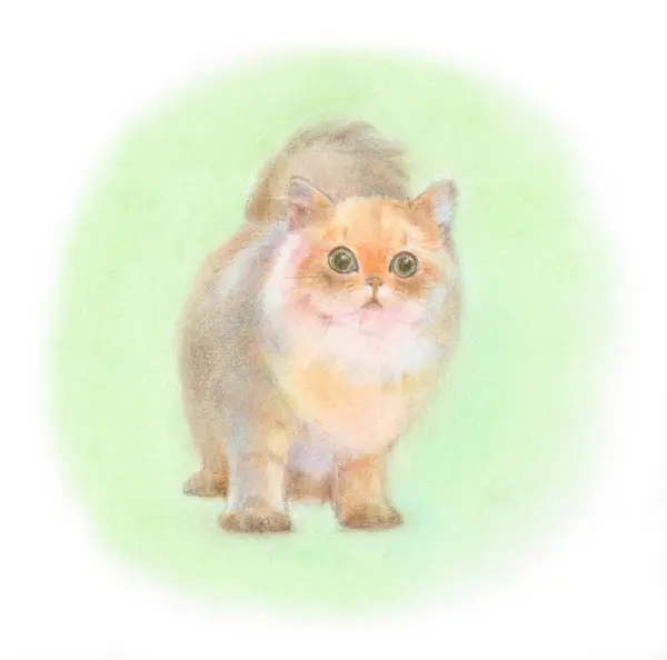 Kot Akwareli Ilustracji Słodkie Kotek — Zdjęcie stockowe