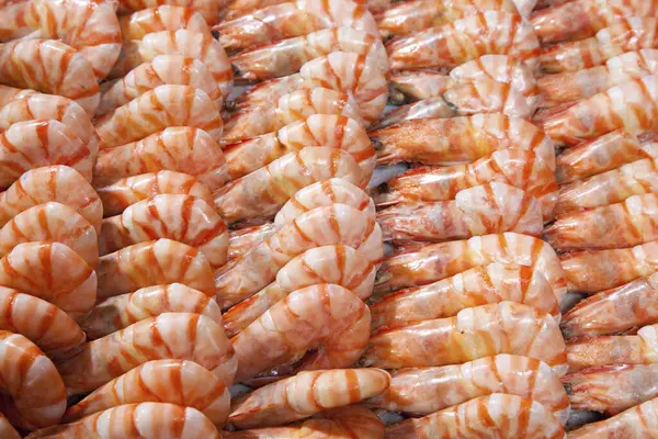 jumbo prawns close up view