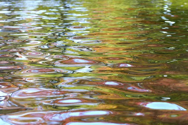 reflection of water surface in the water surface of the pond