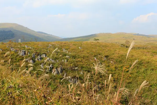 Belle Vue Sur Les Rochers Dans Parc National Akiyoshidai — Photo