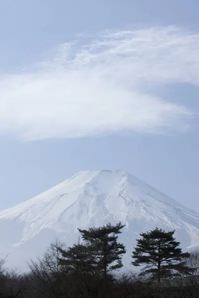冬に日本の富士山の美しい雪の頂上 — ストック写真