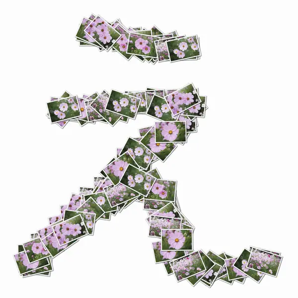 Japanese Hieroglyph Made Playing Cards Pink Flowers — Stock Photo, Image