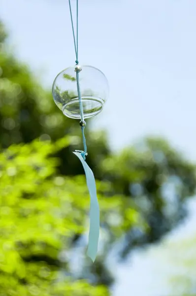 Красивые Японские Колокольчики Летом — стоковое фото