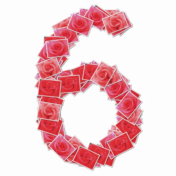Symbol Made Playing Cards Red Roses — Stock Photo, Image