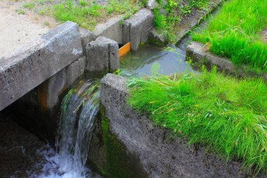 Yeşil çimenlerin yanındaki beton kanaldan akan temiz su
