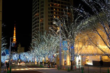 Noel dekoru ve aydınlatılmış çelenkler gece vakti ağaçlarda              